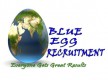 Blue Egg Recruitment Limited Logo