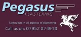 Pegasus Plasterers Logo