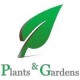 Graham Lawlor Plants & Gardens Logo