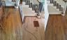 Wood Floor Sanding Projects