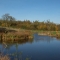 Wildlife Pond at Greetham Retreat