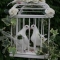 2 Doves in Cage