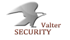 Valter Security Limited Logo