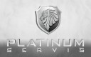 Platinum Servis Limited Logo