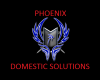 Phoenix Domestic Solutions Logo