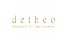 Detheo Photography Logo