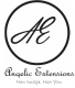 Angelic Extensions Logo