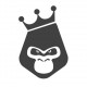 Rilla Stunt Scooters