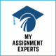 My Assignment Experts Logo