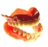 Another Photo of the same Complete Denture