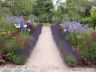 A traditional herbaceous border