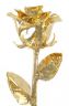 24ct Gold Dipped Rose