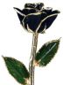 Black Gold Trimmed Rose