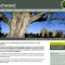 Beechwood Trees Website
