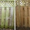 Fence Panel Cleaning