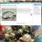 Betty Jane Beads shop & website 