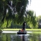 Punting under willows